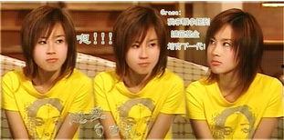 恋爱自由式演员表,明星阵容闪耀，青春爱情故事即将上演